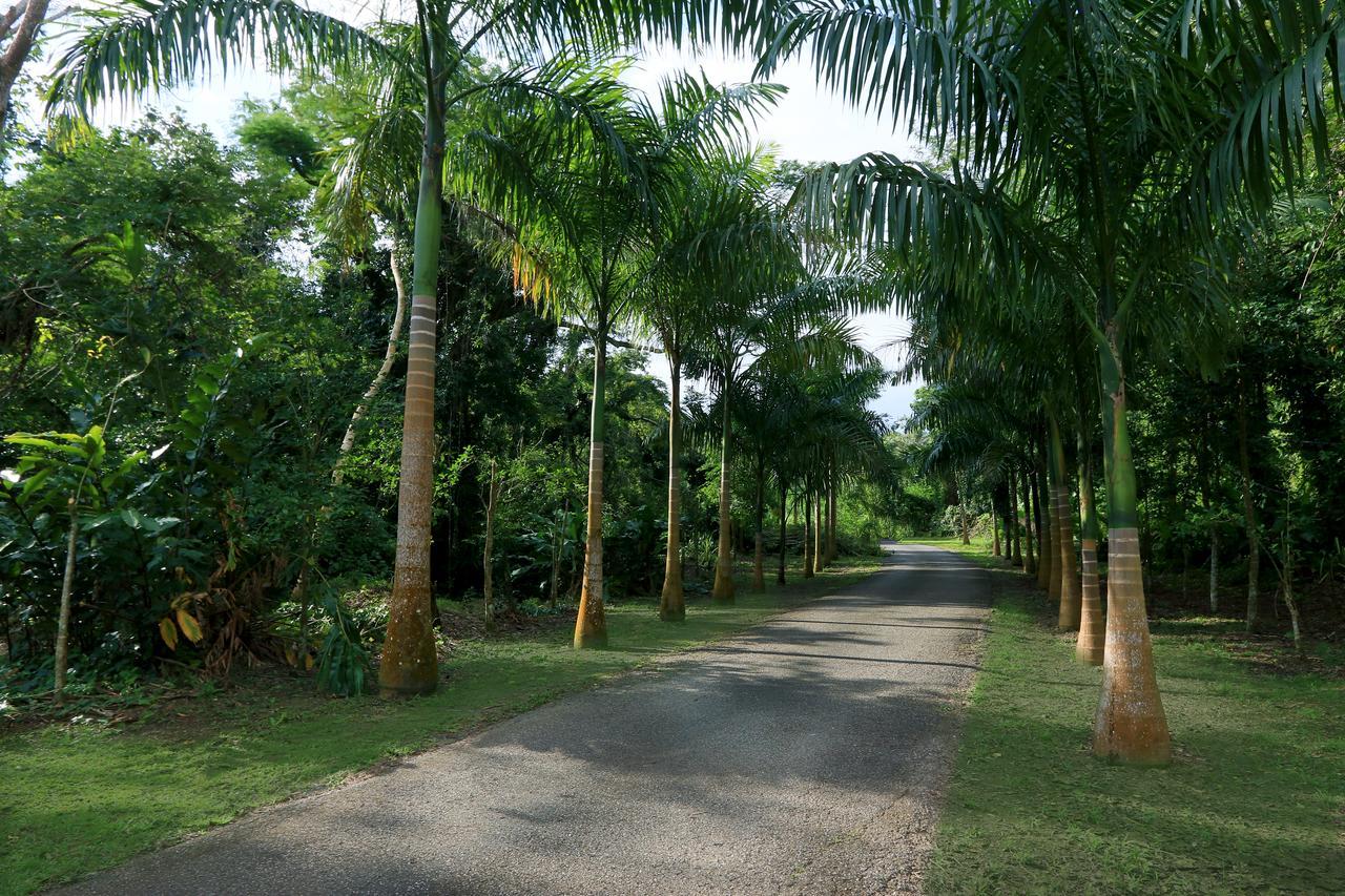 Penzion Hacienda Tres Casitas Cabo Rojo Exteriér fotografie